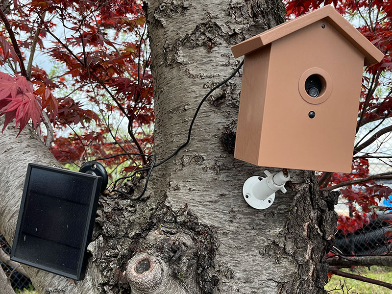 E8AEB67F-75C7-4F89-BC52-CBF61DB48AF6